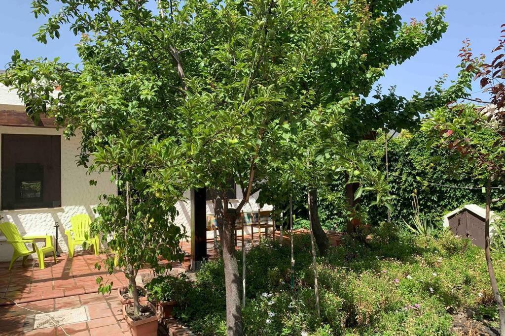 Casa Tranquilla A Pochissimi Passi Dal Mare *
