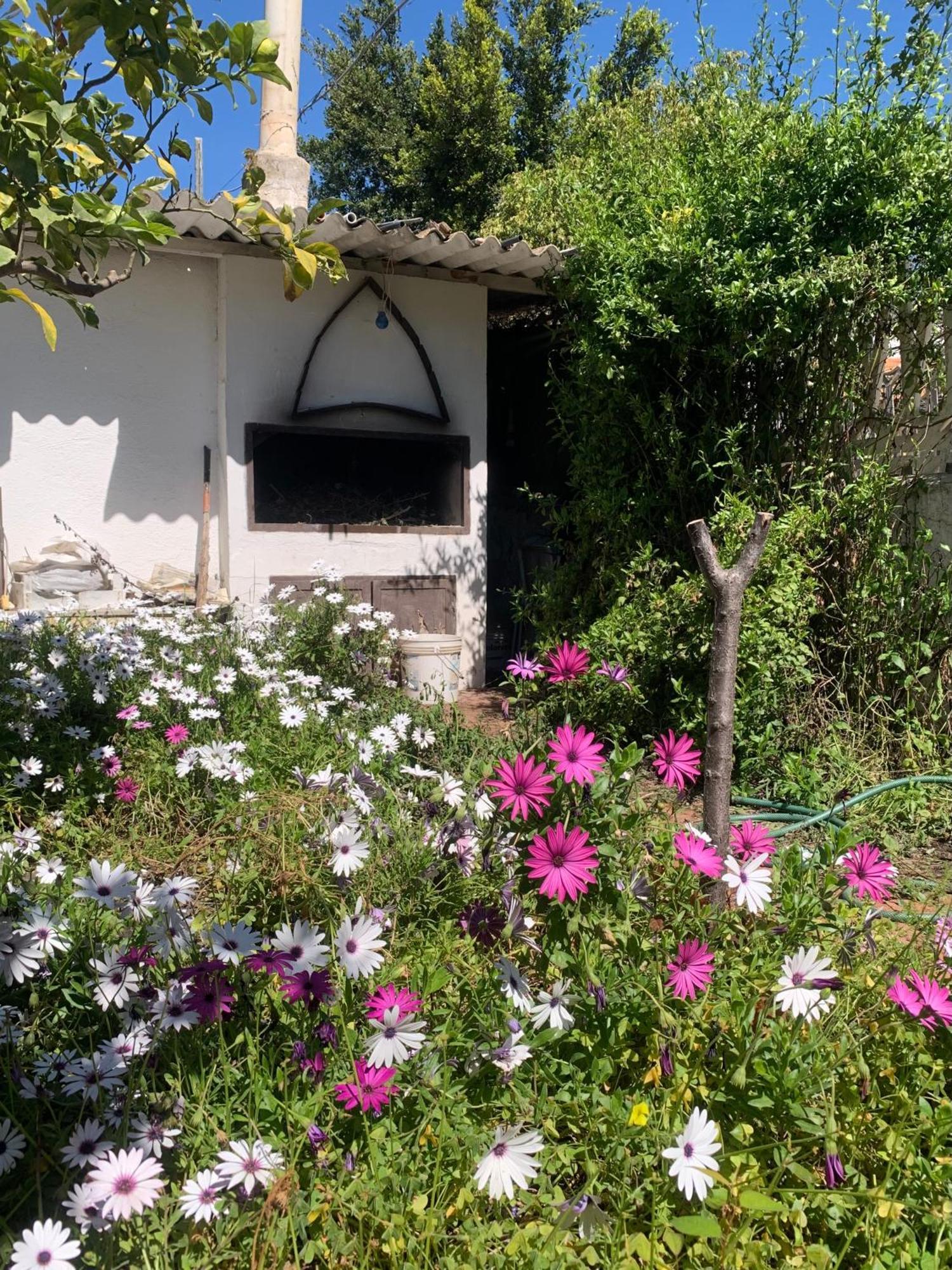 Casa Tranquilla A Pochissimi Passi Dal Mare Sant'Andrea (Sardinia)
