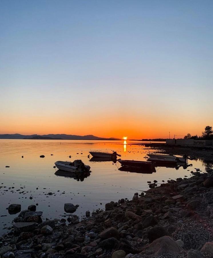 Casa Tranquilla A Pochissimi Passi Dal Mare *